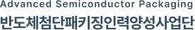 세종대학교 반도체 첨단 패키징 인력 양성 사업단